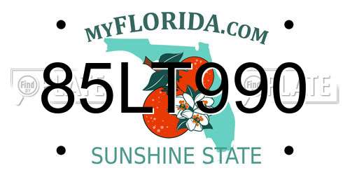 85LT990 Florida License Plate