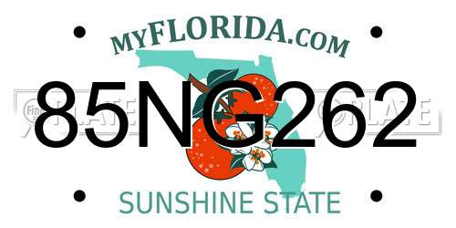 85NG262 Florida License Plate