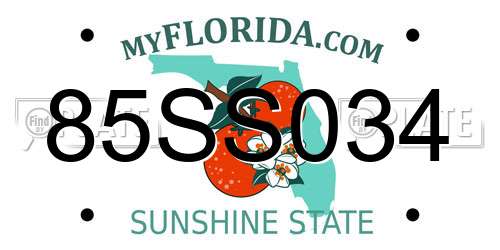85SS034 Florida License Plate