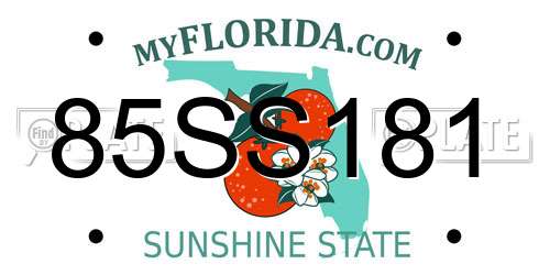 85SS181 Florida License Plate