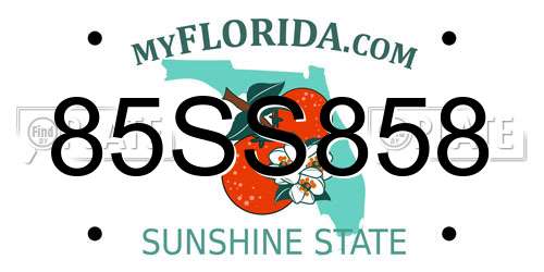 85SS858 Florida License Plate