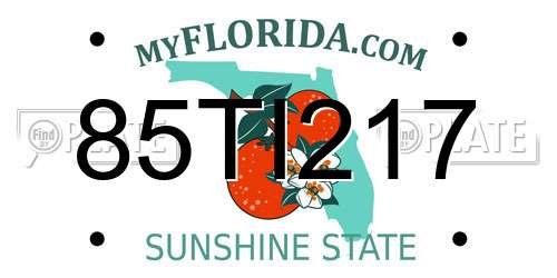85TI217 Florida License Plate