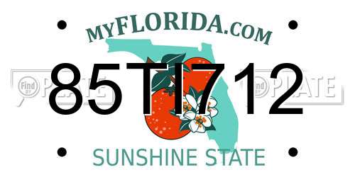 85TI712 Florida License Plate