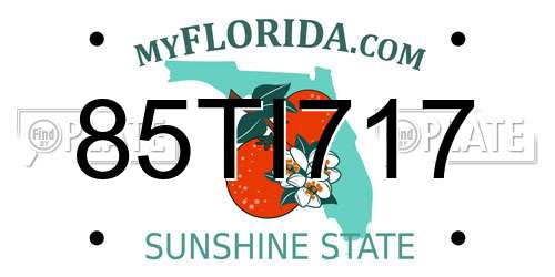 85TI717 Florida License Plate