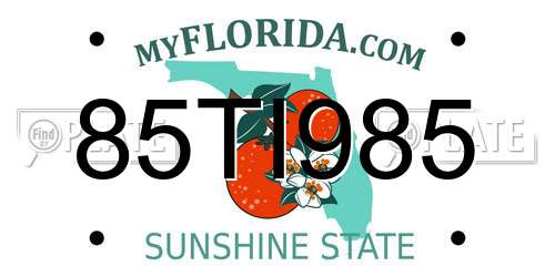 85TI985 Florida License Plate