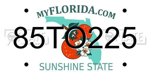 85TO225 Florida License Plate