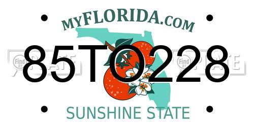 85TO228 Florida License Plate