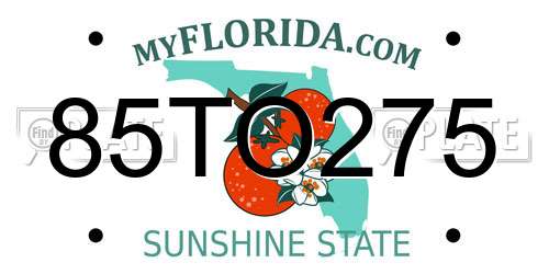 85TO275 Florida License Plate
