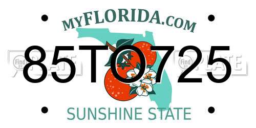 85TO725 Florida License Plate