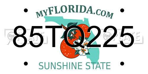 85TQ225 Florida License Plate