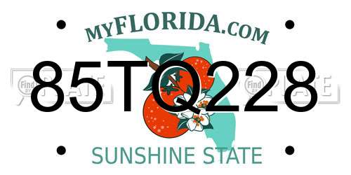85TQ228 Florida License Plate