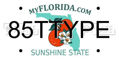 85TTYPE Florida License Plate