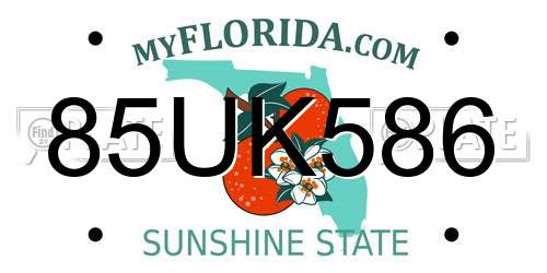 85UK586 Florida License Plate
