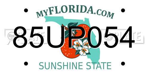 85UP054 Florida License Plate