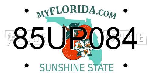 85UP084 Florida License Plate