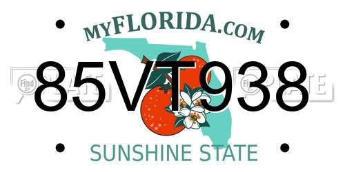 85VT938 Florida License Plate