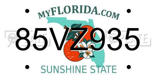 85VZ935 Florida License Plate