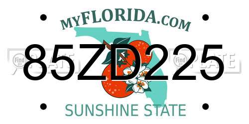 85ZD225 Florida License Plate