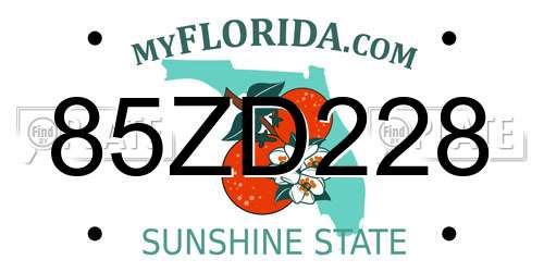 85ZD228 Florida License Plate