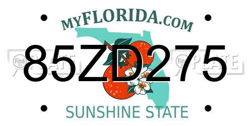 85ZD275 Florida License Plate