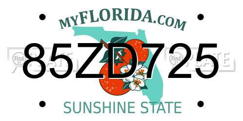 85ZD725 Florida License Plate