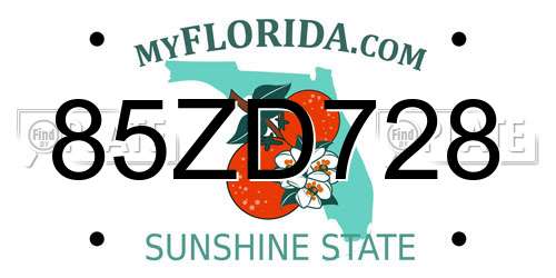 85ZD728 Florida License Plate