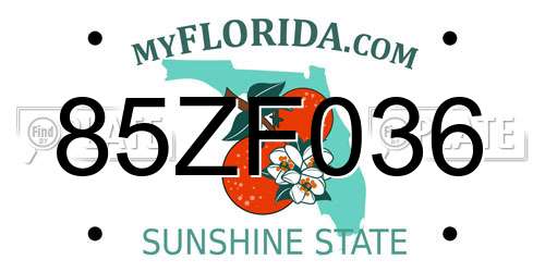85ZF036 Florida License Plate