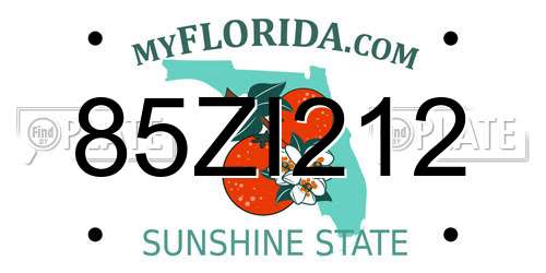85ZI212 Florida License Plate