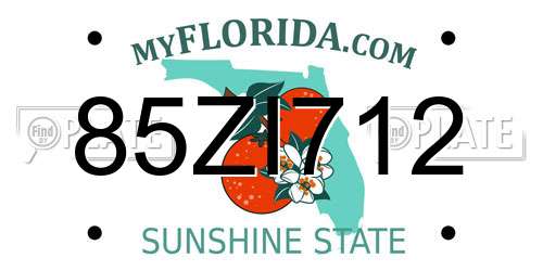 85ZI712 Florida License Plate