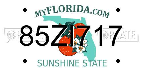 85ZI717 Florida License Plate
