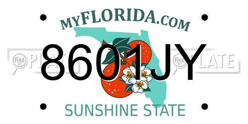 8601JY Florida License Plate
