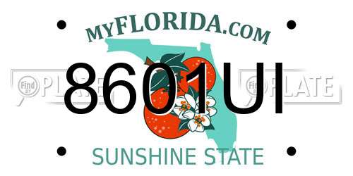 8601UI Florida License Plate