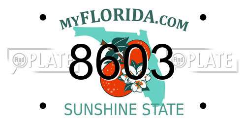 8603 Florida License Plate