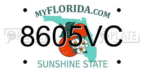 8605VC Florida License Plate