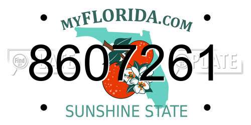8607261 Florida License Plate