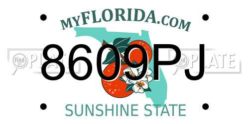 8609PJ Florida License Plate