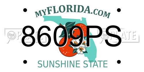 8609PS Florida License Plate