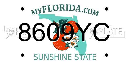 8609YC Florida License Plate