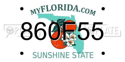 860F55 Florida License Plate