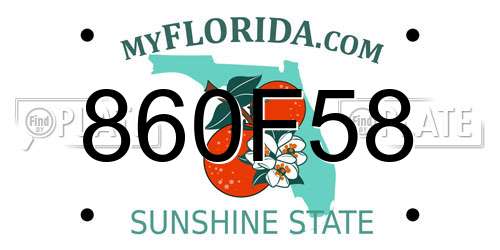 860F58 Florida License Plate