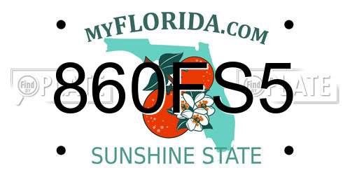 860FS5 Florida License Plate