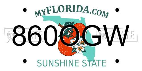 860OGW Florida License Plate