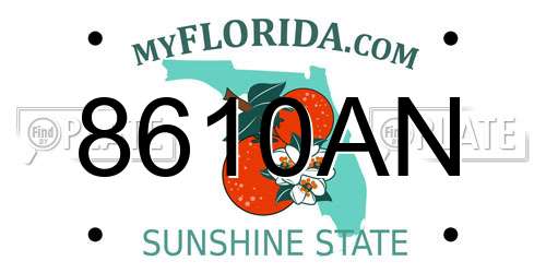 8610AN Florida License Plate