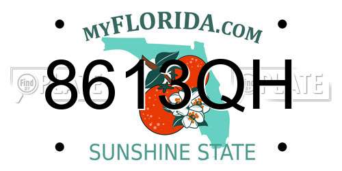 8613QH Florida License Plate
