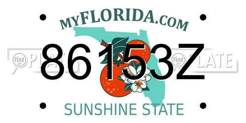 86153Z Florida License Plate