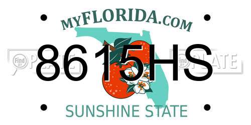 8615HS Florida License Plate