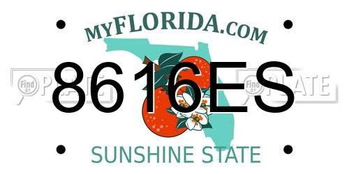 8616ES Florida License Plate