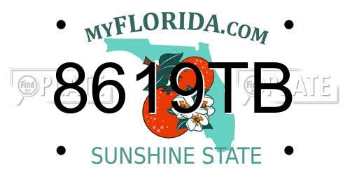8619TB Florida License Plate