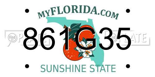 861G35 Florida License Plate