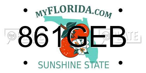 861GEB Florida License Plate